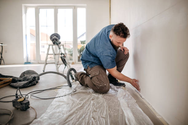 Best Water-Damaged Drywall Repair  in Harlan, IN